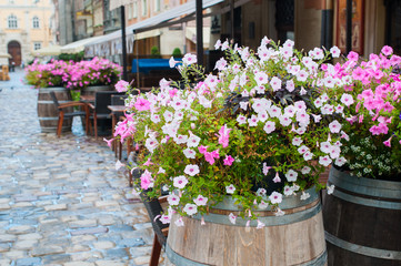 decor flowers cafe on the street of Lviv