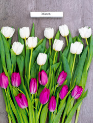 Ten white and ten pink tulips.