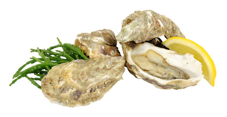 Fresh Raw Oysters
