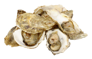 Fresh Raw Oysters