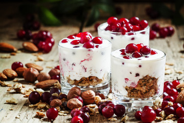Healthy breakfast with baked wheat flakes, yogurt, cranberries a