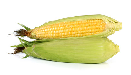 Corn on white background