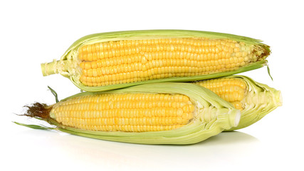 Corn on white background