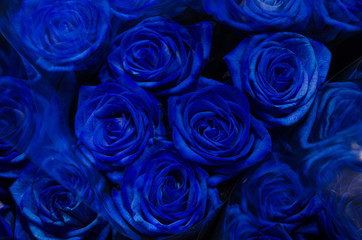 Blue roses in a bouquet