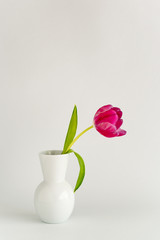 Vase mit Tulpe
