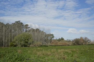 Park of Vagos,Europa,Portugal.
