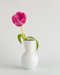 Vase mit Tulpe