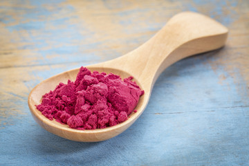 spoon of aronia berry powder