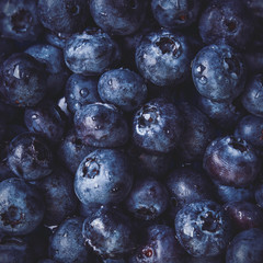 Blueberry background