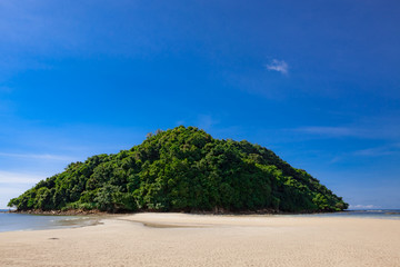Fototapeta na wymiar Tropical forest at the end of paradise sand beach