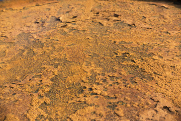 Background texture of Rusted steel