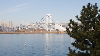 Tokyo Bay and Rainbow Bridge, Tokyo