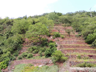Garten am Hang
