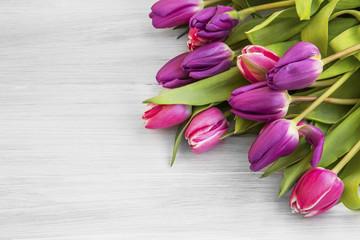 Pink and purple tulips on painted white wood