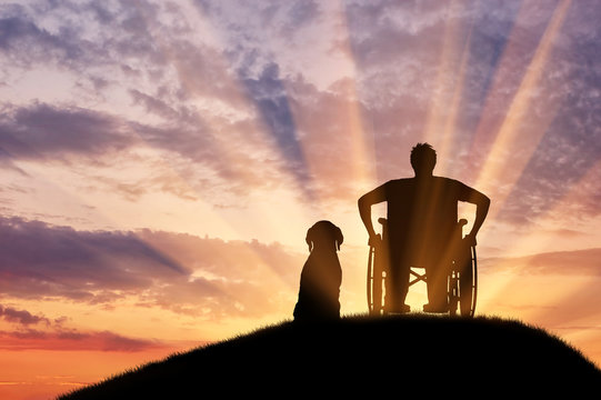 Silhouette of disabled and dog