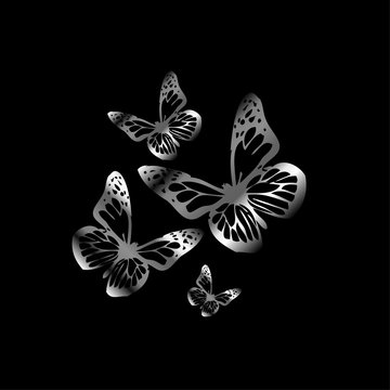 Silver colored butterflies flying on black