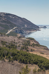 Winding Road at Cabot Trail Vertical - 104669809