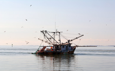 Panele Szklane  Komercyjna łódź rybacka / Komercyjna łódź rybacka wpływa do portu o zachodzie słońca.