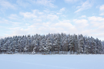 Frozen lake and snow covered forest
