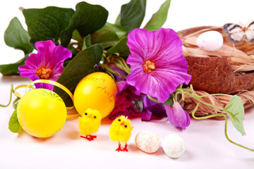 Easter eggs and yellow chicks on a white background in colors