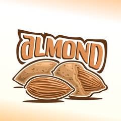 Vector illustration on the theme of the logo for almond nuts, consisting of peeled almond nutlet and two nuts in the nutshell