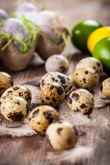 Easter eggs with nest