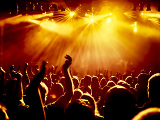 Fototapeta na wymiar cheering crowd at a rock concert