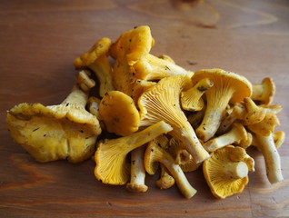 chanterelles bunch on wooden surface
