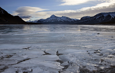 Abraham Lake Winter
