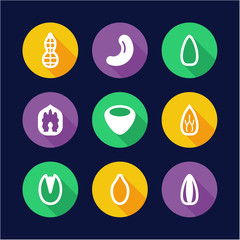 Healthy Snacks Icons Flat Design Circle