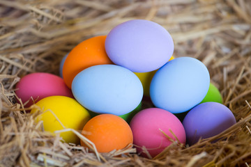 Fototapeta na wymiar group of colorful egg on nest