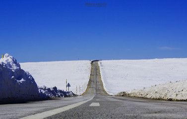House Serra da Estrela