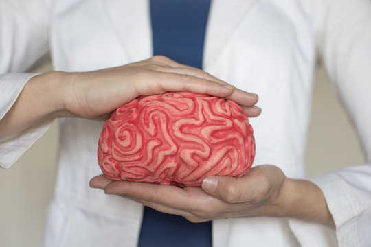 Cuidados del cerebro, desarrollo personal 