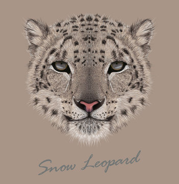 Vector Illustrative Portrait of a Snow Leopard