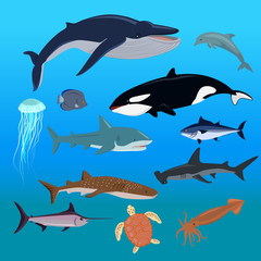 Obraz premium Marine Fauna Set of Aquatic Animals