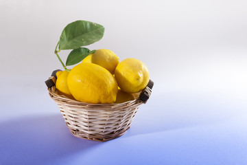 Basket of fresh yellow lemons