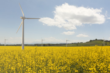 Windkraft Anlage Park in einem Rapsfeld
