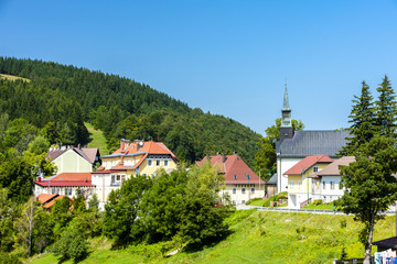 Fototapeta na wymiar Puchenstuben, Lower Austria, Austria