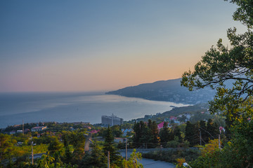 cute lama alpaca animal closeup snout portrait