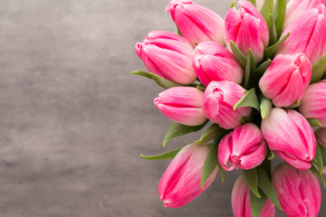 More tulip on the grey background.