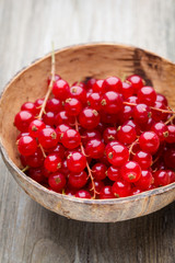 Redcurrant on a branch close to a wooden bowl.
