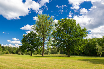 Sommerliche Landschaft in Lobetal, Brandenburg, Deutschland