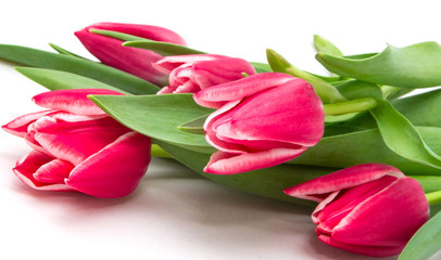 Obraz premium Bouquet of tulips on a white background