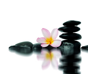 Frangipani flower and zen stones with reflection