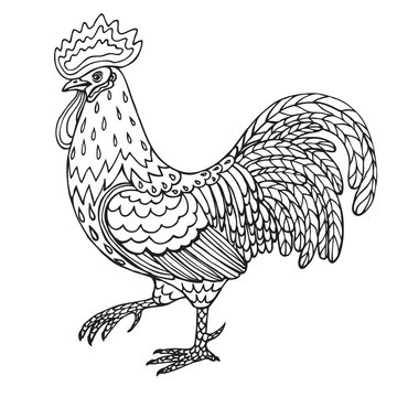 Hand drawn contoured rooster