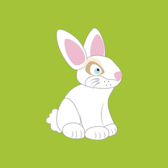 Rabbit Bunny Icon