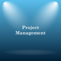 Project management icon