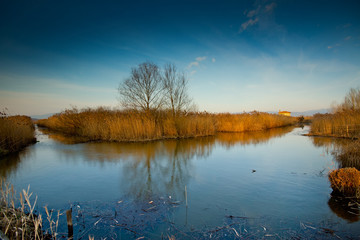 Padule di Fucecchio, Natural Park, Tuscany