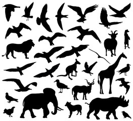 Set of animals silhouettes on white background. Vector illustration