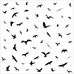 Flying birds silhouettes on white background. Vector illustration